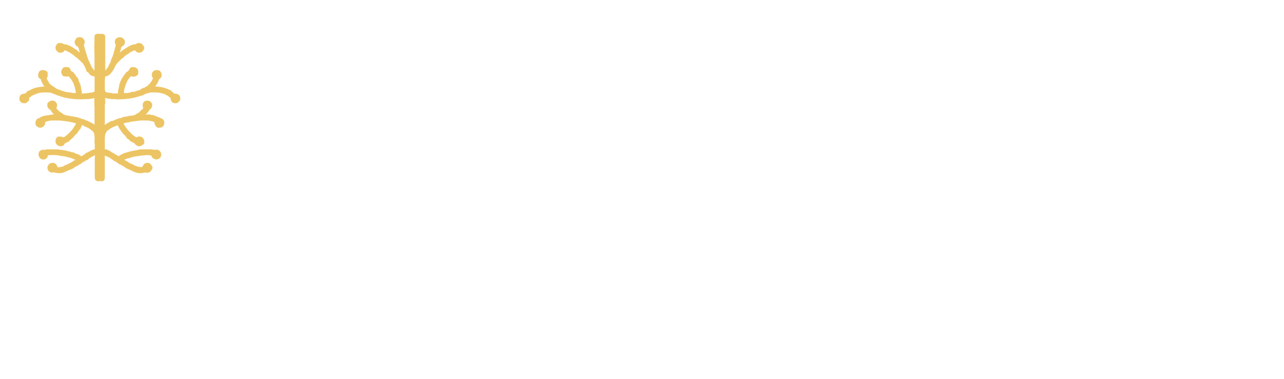 Amandine Chatet-Camain